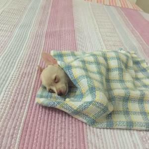 Meet your Posher, Kyung